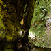Visit to the Oilbird cave, Trinidad
