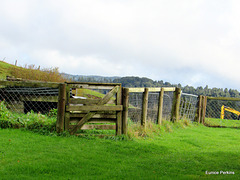 Farmhouse Fence.