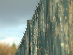 A Fence...Not Offence.....or is it?