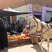 Market day in Daraw (Explored)