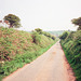 Lane leading to Sandwith (scan from 1990)