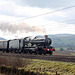 Collett GWR 4073 class Castle 5043 EARL OF MOUNT EDGCUMBE at Scout Green with 1Z43 06.56 Birmingham N.S - Carlisle The Cumbrian Mountaineer 16th March 2024. (steam on from Carnforth)