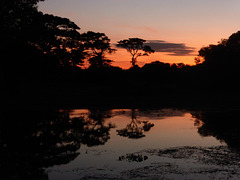 Sunset in the Pantanal