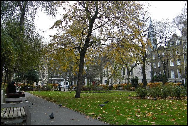 Queen Square autumn