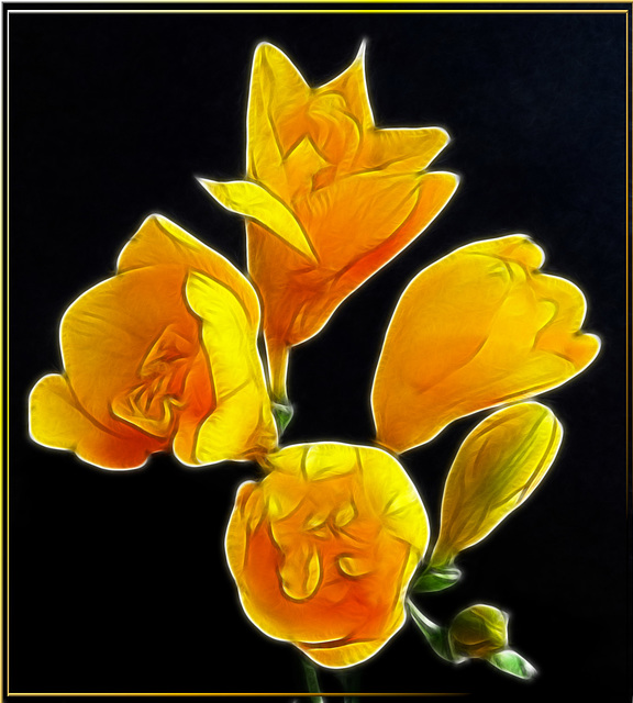 Painted Freesia.  ©UdoSm