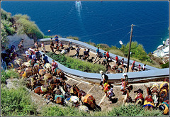 Santorini : La mulattiera che porta  da Ormos di  Θήρα a Thira e viceversa - in alternativa è disponibile una moderna cabinovia senza 'il profumo' dei muli