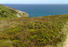 Trevaunance Cove, for Pam.