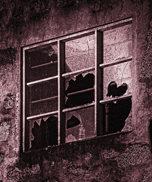 "Surviving Window"  Porto, Portugal – April 2019