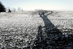 Winterliche Schatten (PiP)