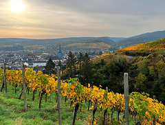 Herbstfarben über Ahrweiler