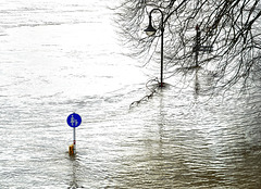 Hochwasser an der Weser