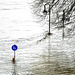 Hochwasser an der Weser