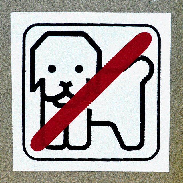 Weißenfels 2017 – No dogs
