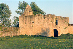 old abbey ruin