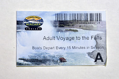 Adult voyage