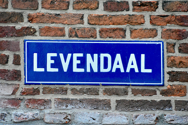Levendaal