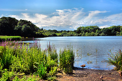 Chard Reservoir & Nature Reserve