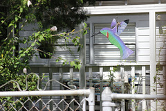 A large hanging Hummingbird outside Decor'....:)