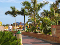 Tenerife 2010 31