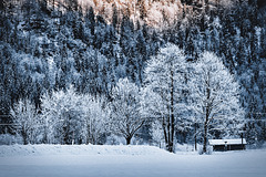 Winter In A Tyrolean Valley
