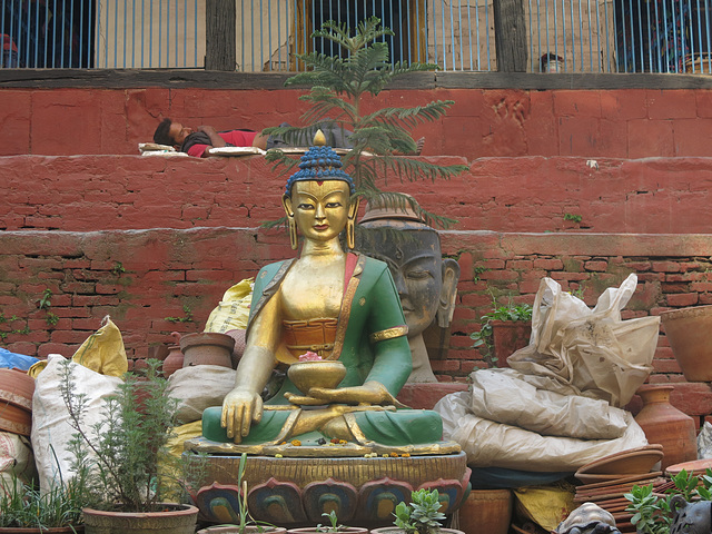 Sommeil et sagesse (Kathmandu, Népal)
