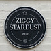 Ziggy Stardust - 12 April 2018