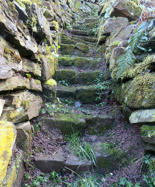 Steintreppe / stone stairs