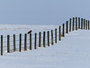 Follow the fence line