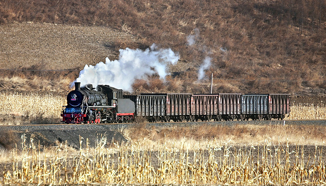 Steam in the maize fields