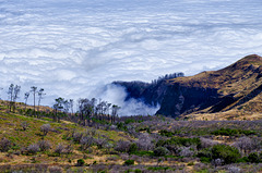 Madeira - Above the clouds