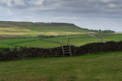 Cown Edge from Narrs Nook Farm
