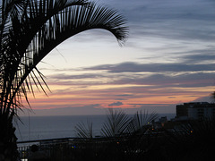 Tenerife 2010 38