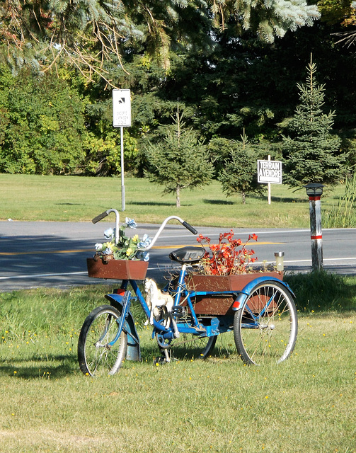 Vélo à fleurs