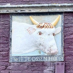 Alkmaar 2023 – ’t Witte Ossenhooft