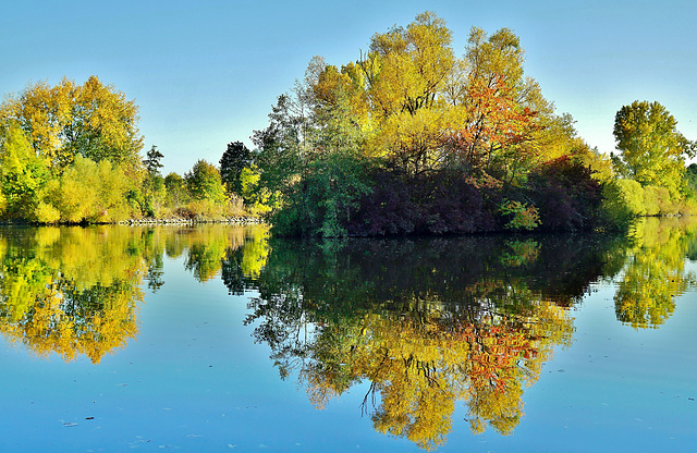 Herbstfarben - Autumn colours - I colori dell' autunno