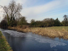 Frozen Maesbury Canal
