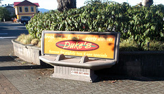 Duke's bench