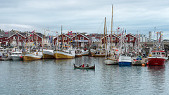 Bodø harbour