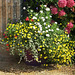 P8183422ac Ploumilliau Church Flowers