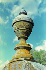 Urn With Moss