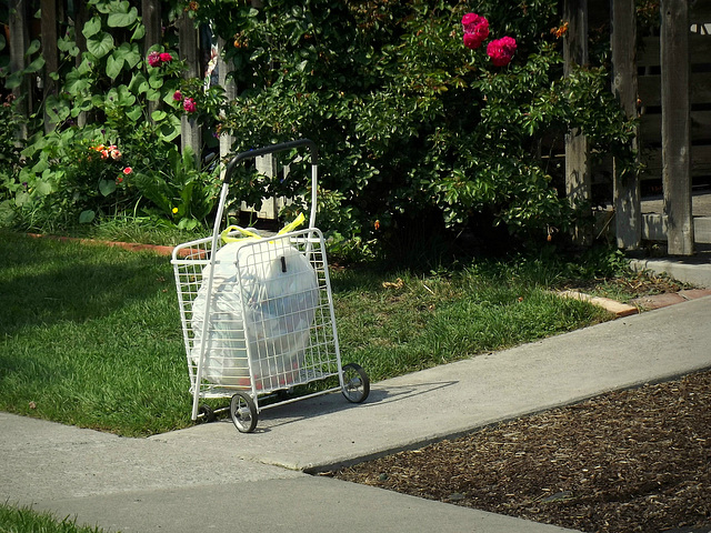 Cart with roses