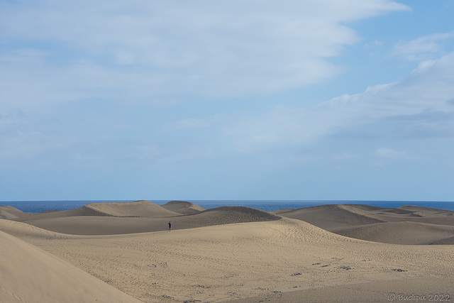 in den Dünen bei Playa del Ingles (© Buelipix)