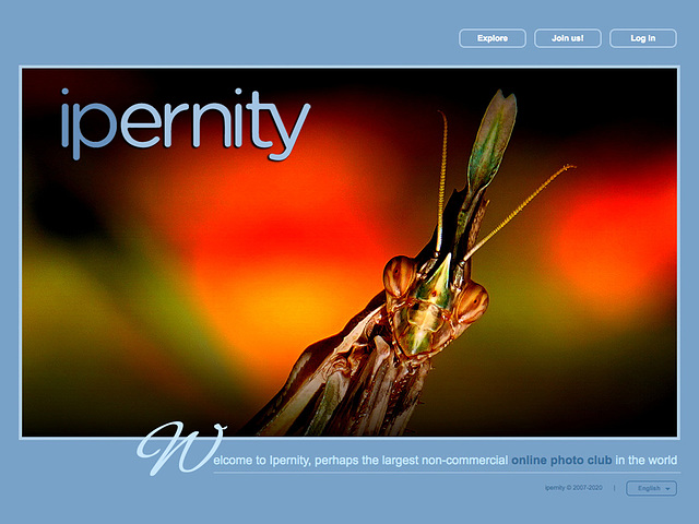 ipernity homepage with #1329