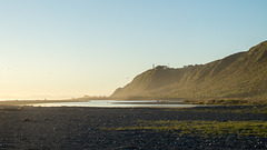 Neuseeland - Wainuiomata Beach