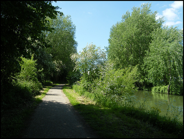 Thames Path towards Osney