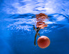 1 (48)..orange falling in blue water