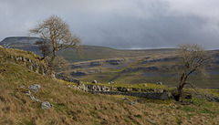 The beauty of the Dales