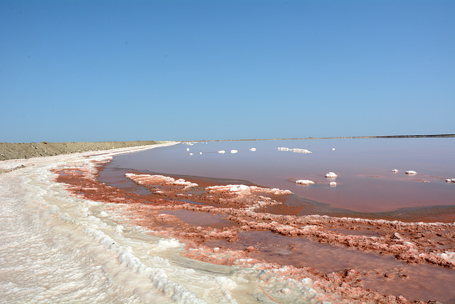 Namibia, Walvis Bay Salt Pans with Red Water