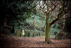 Cathedral graveyard