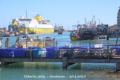 Fisheries jetty, Newhaven 20 8 2023